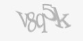 Kod antyspamowy